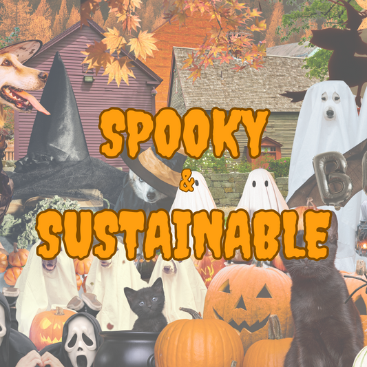 Top Tips for a Creepy (and Kind) Halloween 🎃🖤