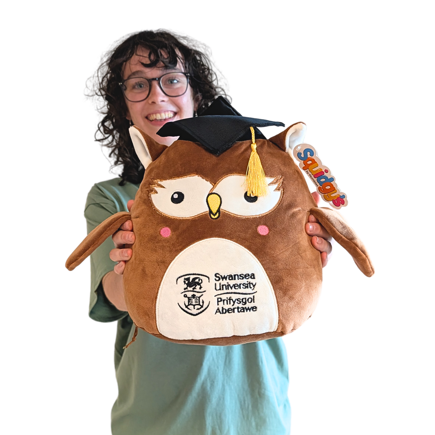 Swansea University Owl - Graduate