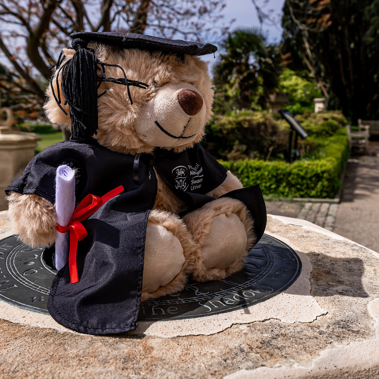Swansea University Bear - Graduation