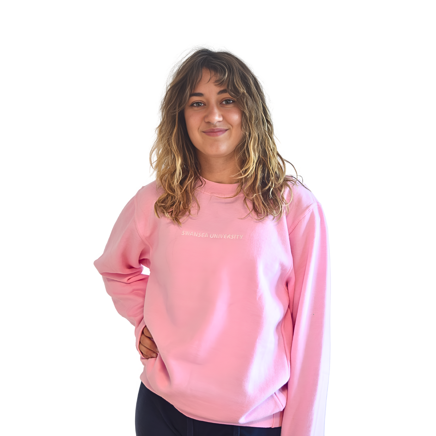 SALE-Swansea University Sweatshirt - Minimalist