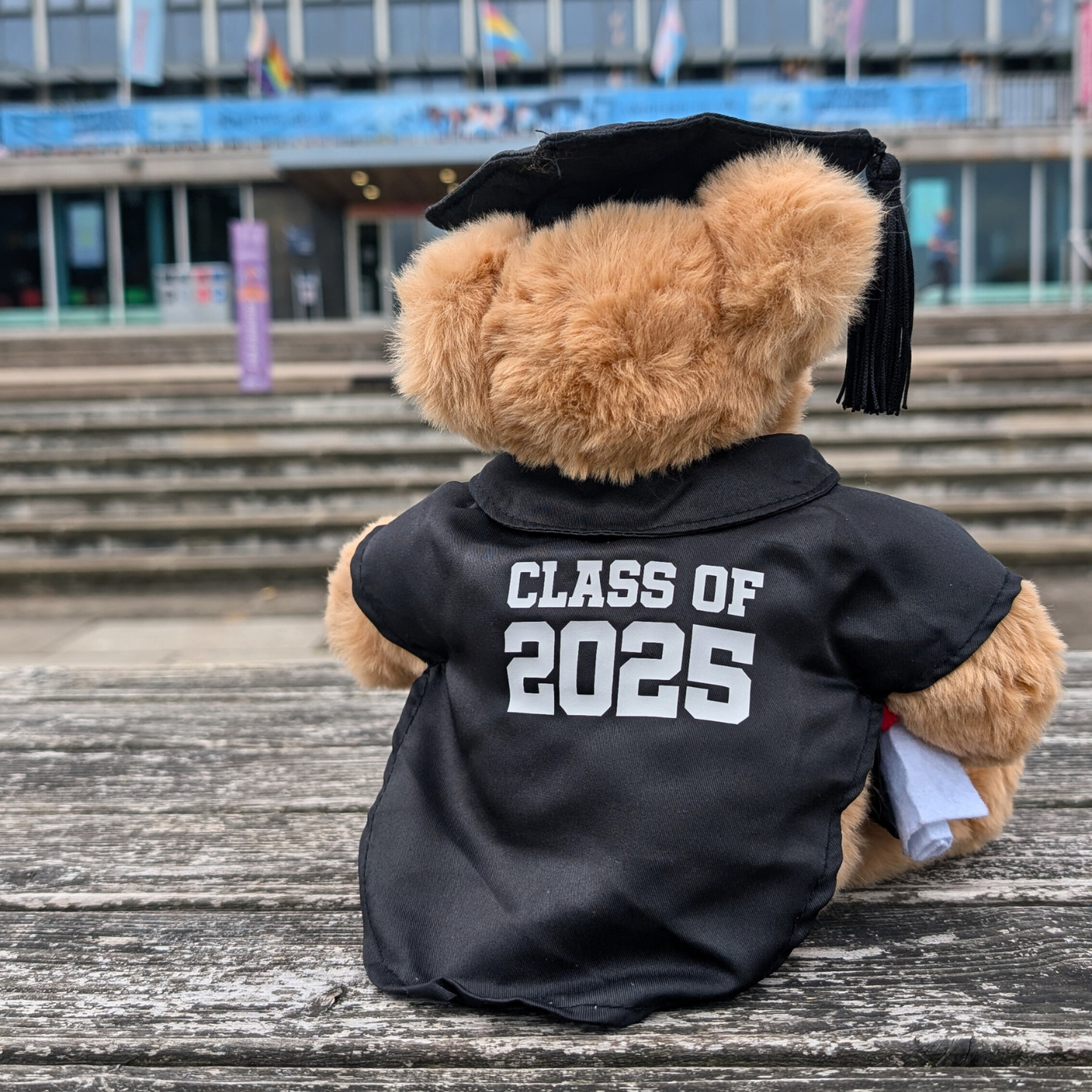 Swansea University Bear - Graduation