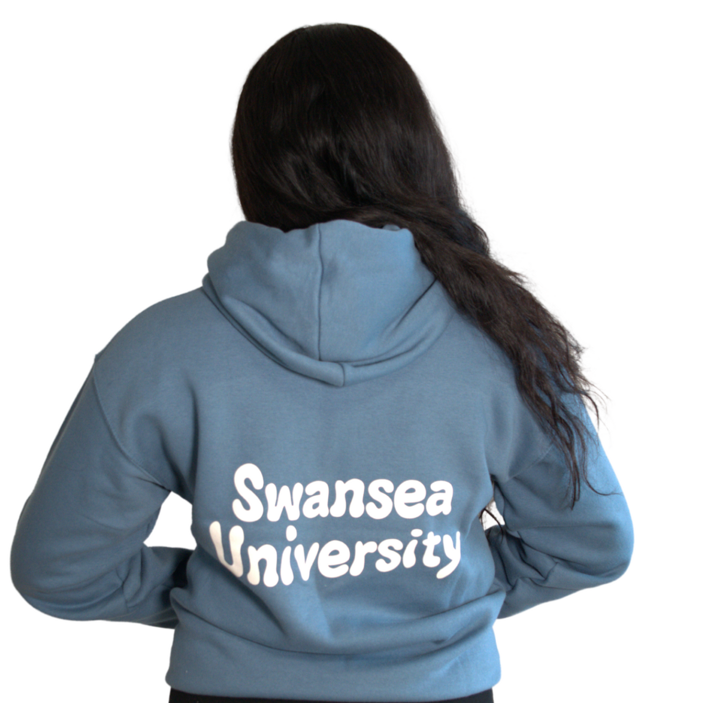 Swansea University Hoodie - Retro