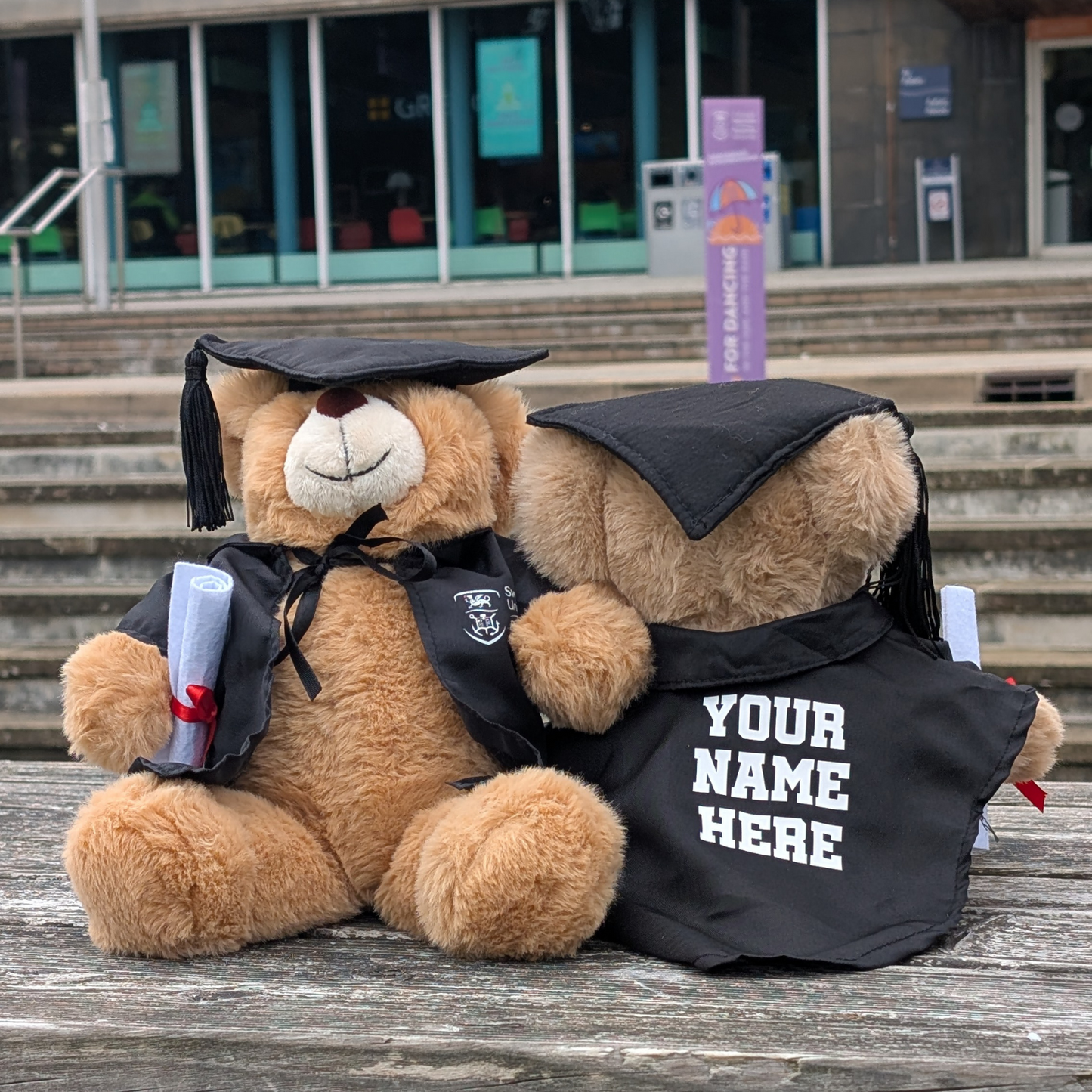 Swansea University Bear - Graduation