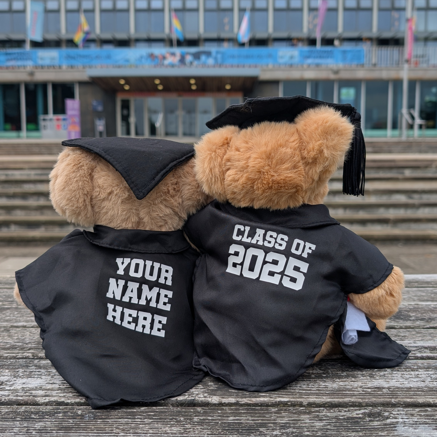 Swansea University Bear - Graduation