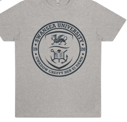 Swansea University Tee - Organic Motto