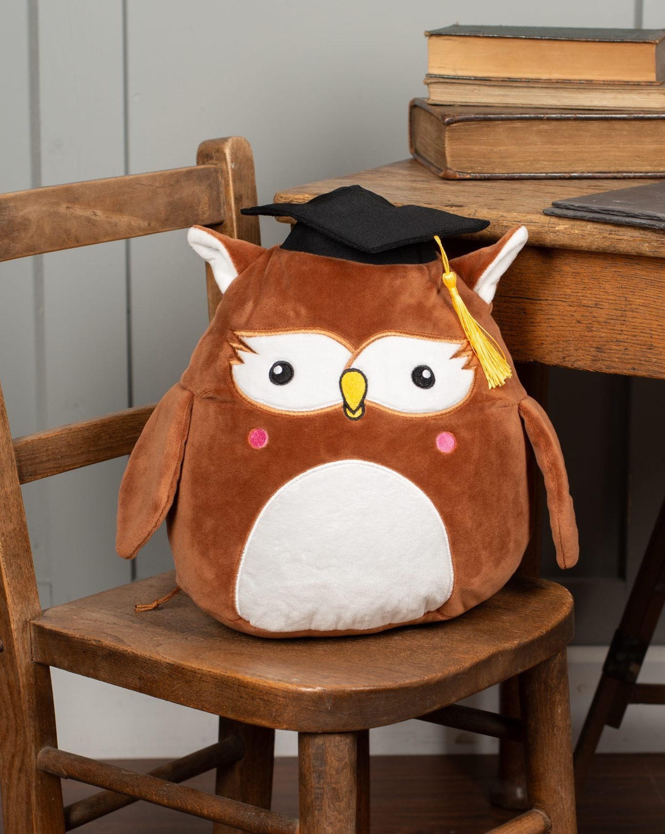 Swansea University Owl - Graduate