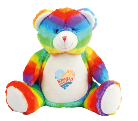 Rainbow Teddy - Swansea University