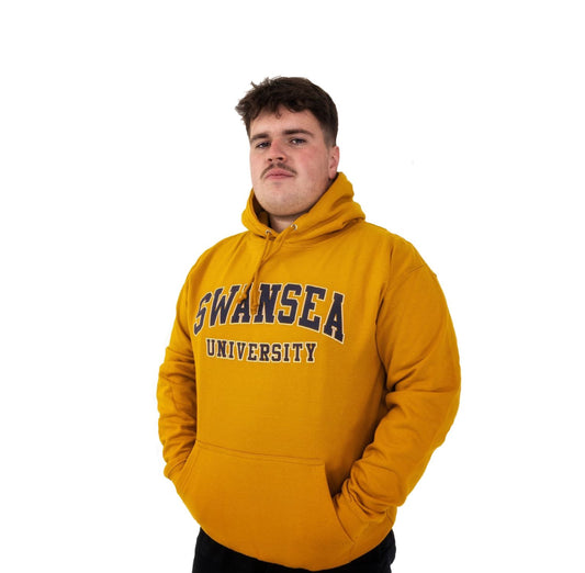 Swansea University Hoodie with FREE T-shirt