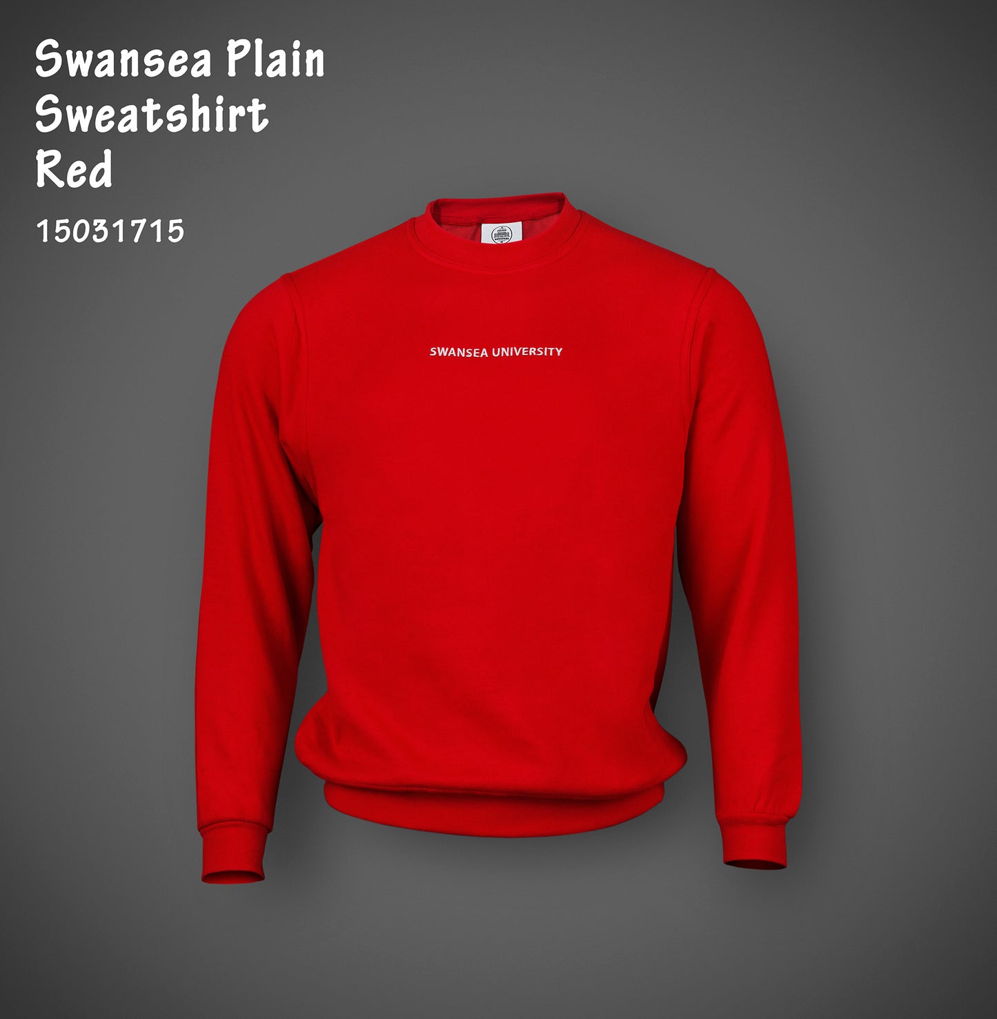 Swansea University Sweatshirt - Minimalist