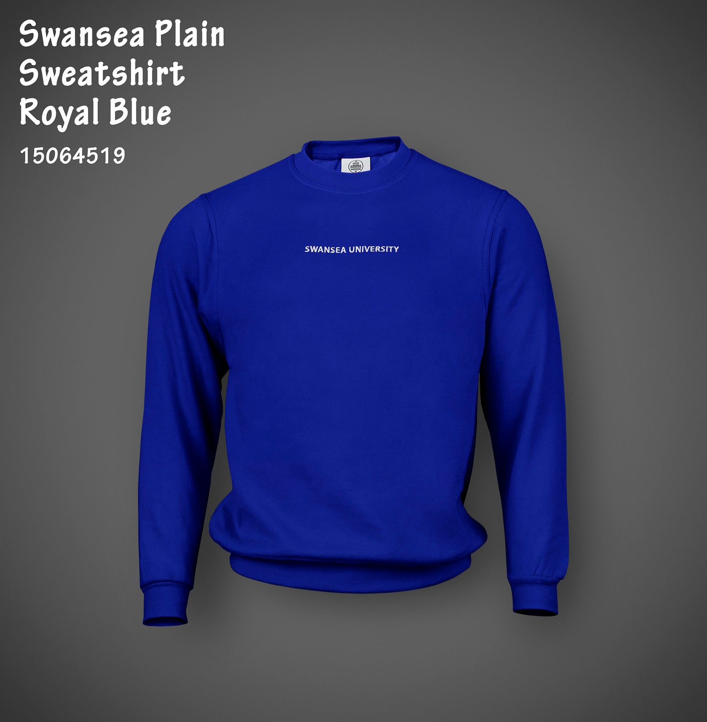 Swansea University Sweatshirt - Minimalist