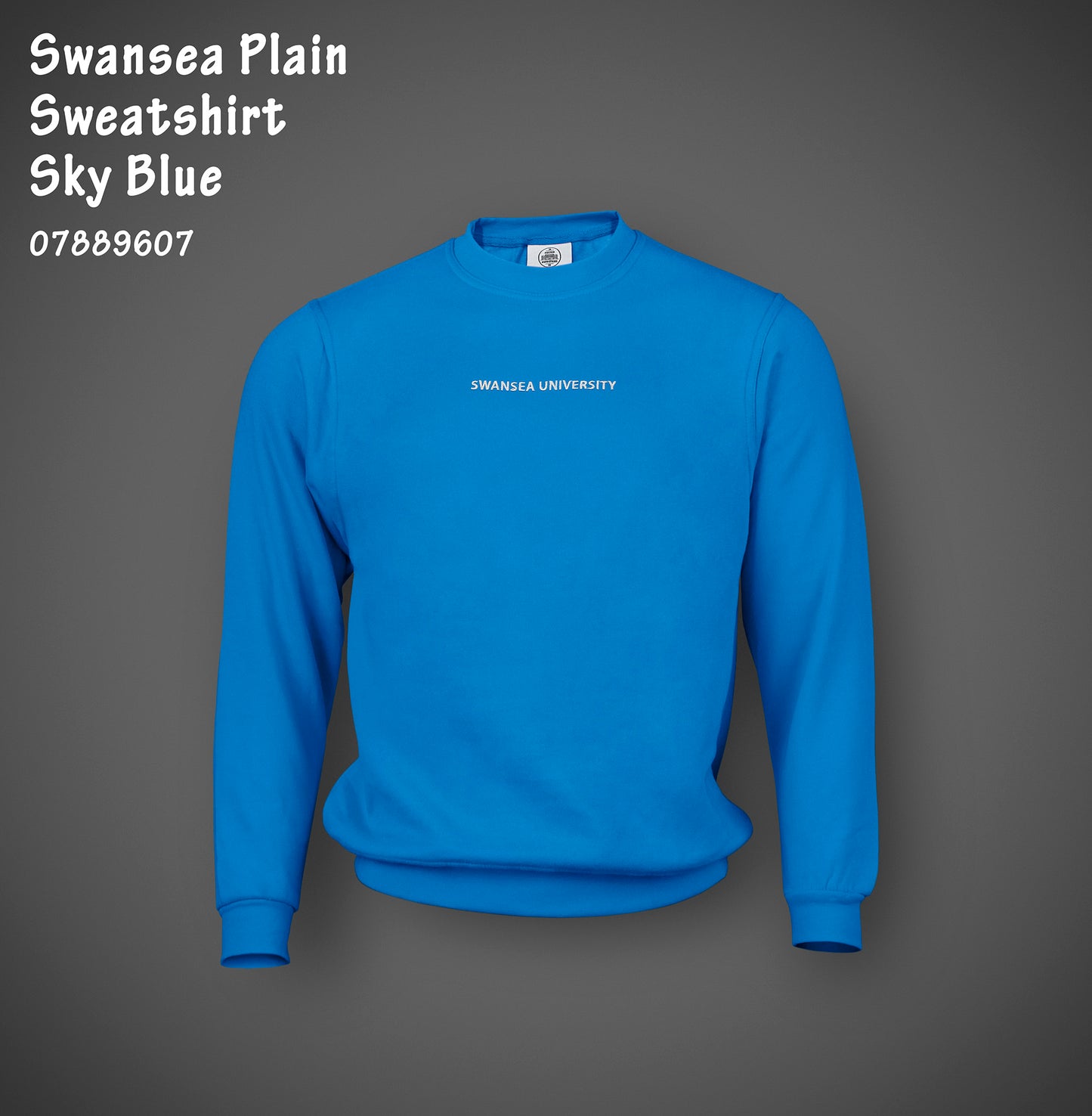 Swansea University Sweatshirt - Minimalist