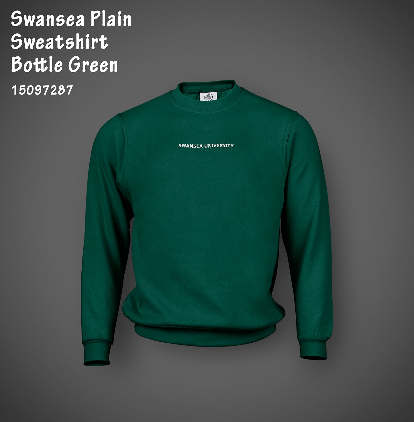 Swansea University Sweatshirt - Minimalist