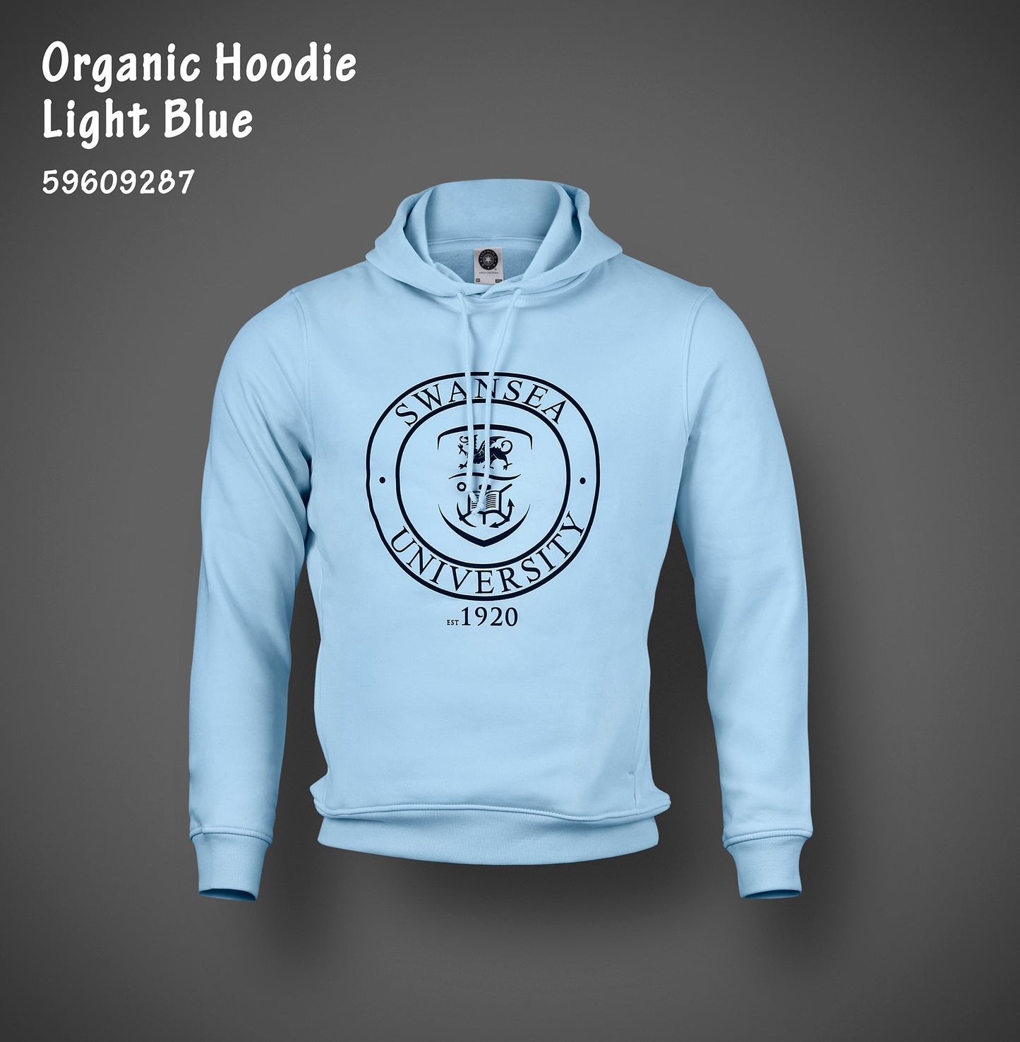 SALE-Swansea University Hoodie - 1920 Roundel