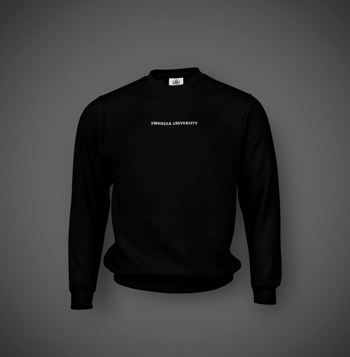 Swansea University Sweatshirt - Minimalist