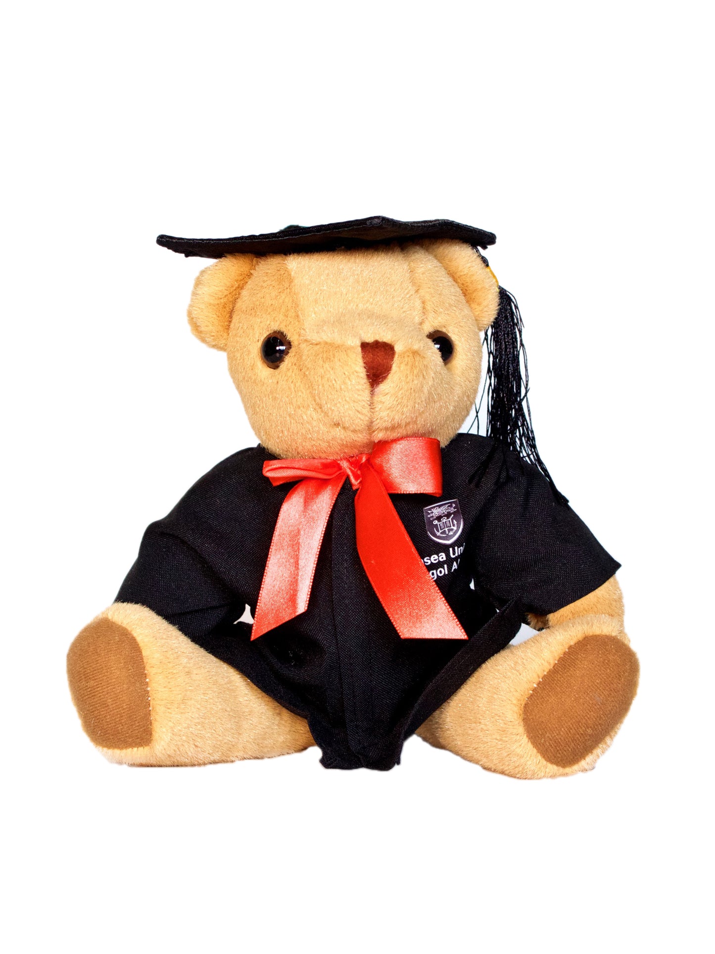 Swansea University Bear - Graduation