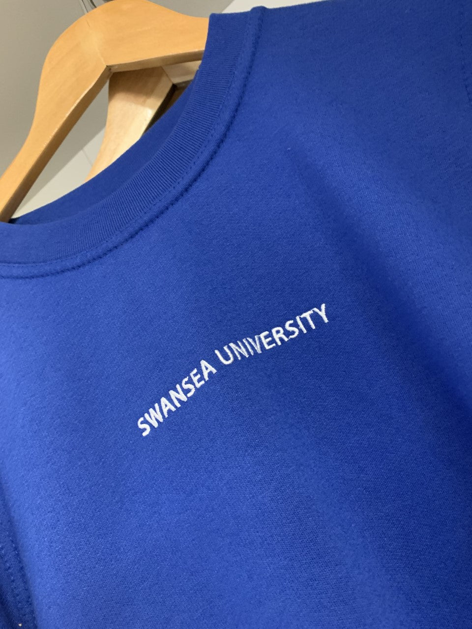 Swansea University Sweatshirt - Minimalist