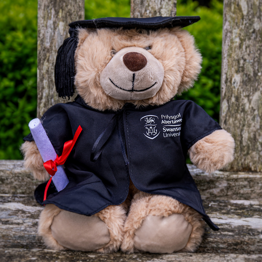 Swansea University Bear - Graduation