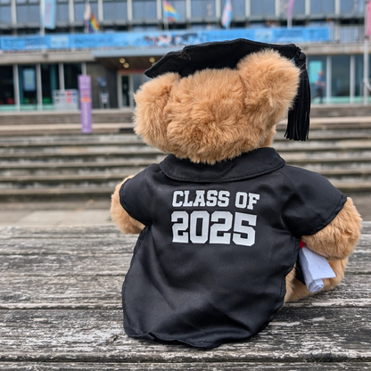 Swansea University Bear - Graduation