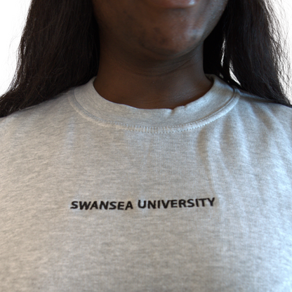 Swansea University Sweatshirt - Eco Minimalism