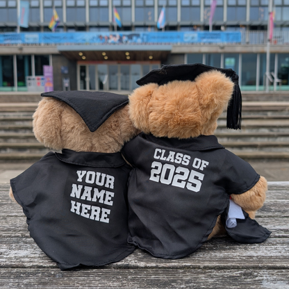 Swansea University Bear - Graduation