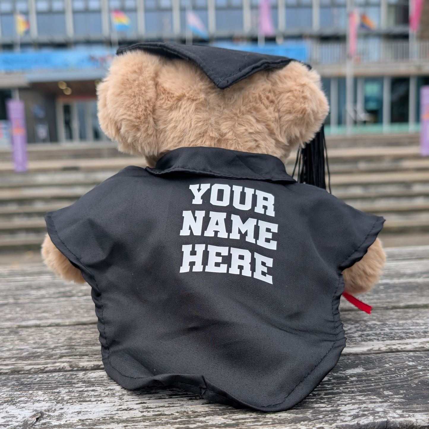 Swansea University Bear - Graduation