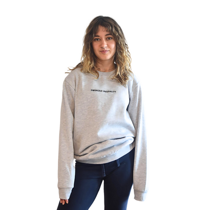 Swansea University Sweatshirt - Minimalist