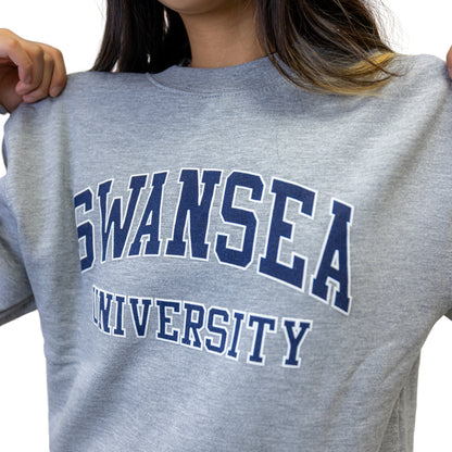 Swansea University Sweatshirt Classic Twin Pack -FREE T-shirt