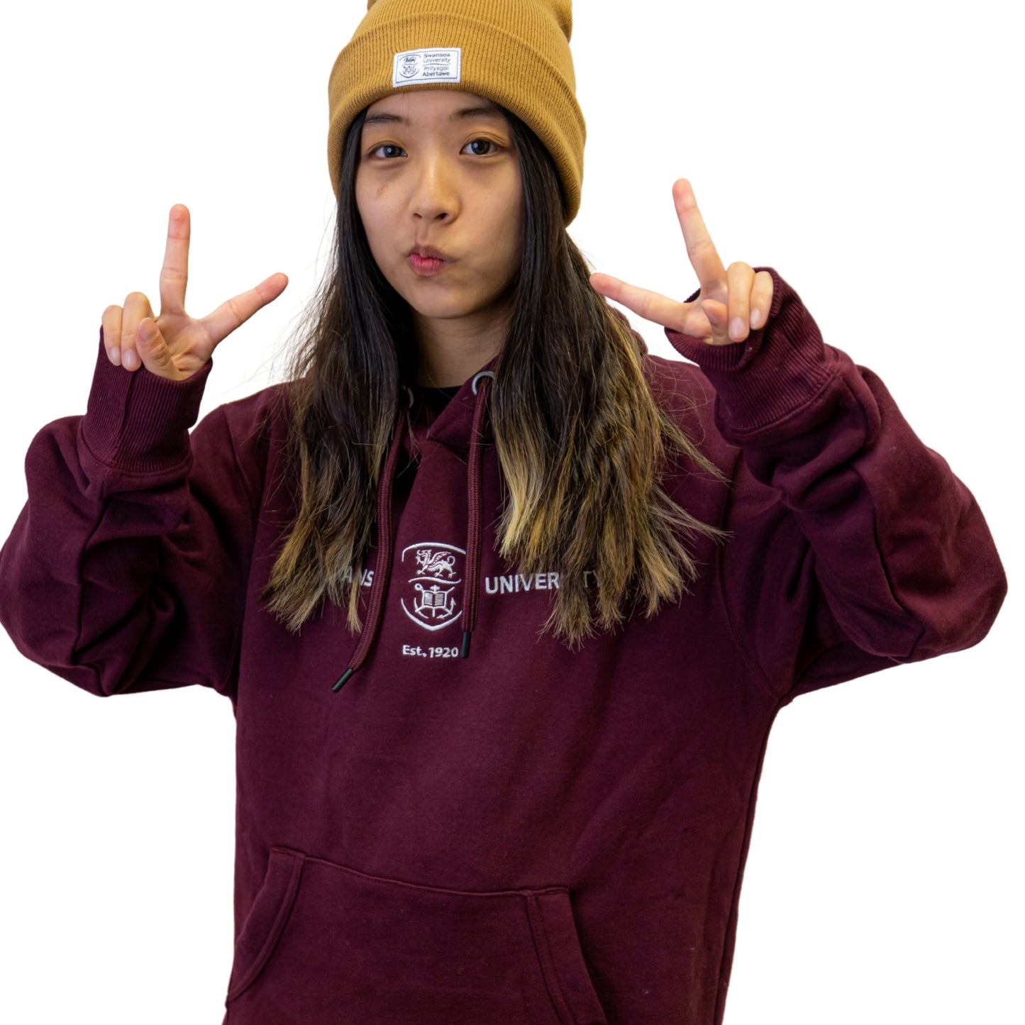 Swansea University Hoodie- Embroidered Crest