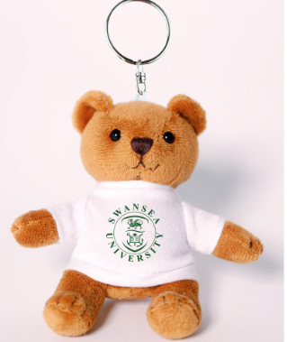 Swansea University Bear Keyring