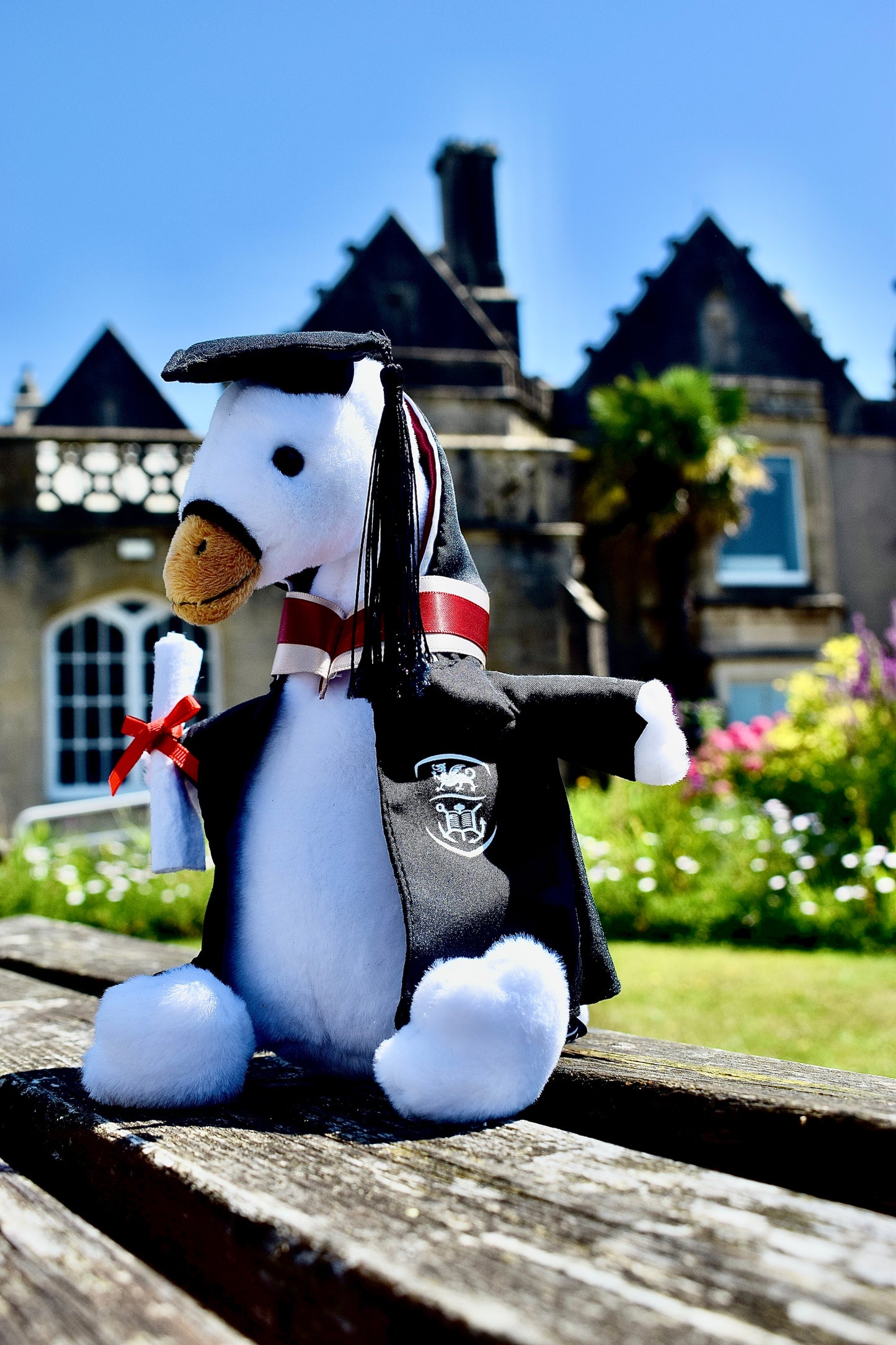 Swan Graduate Swansea University