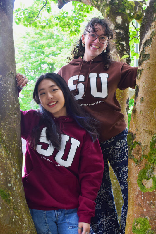 Swansea University logo College Hoodie