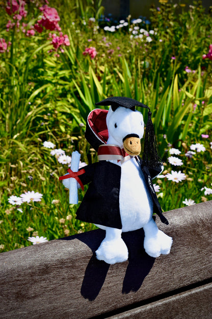 Swan Graduate Swansea University