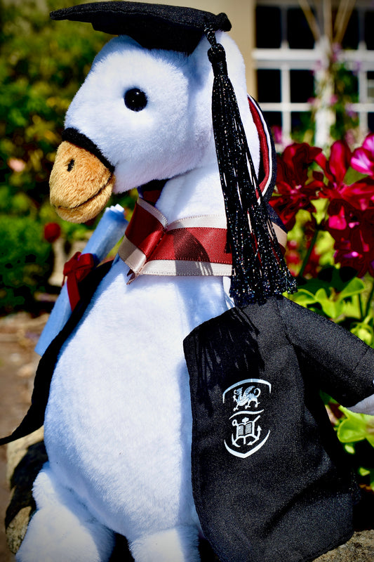 Swan Graduate Swansea University