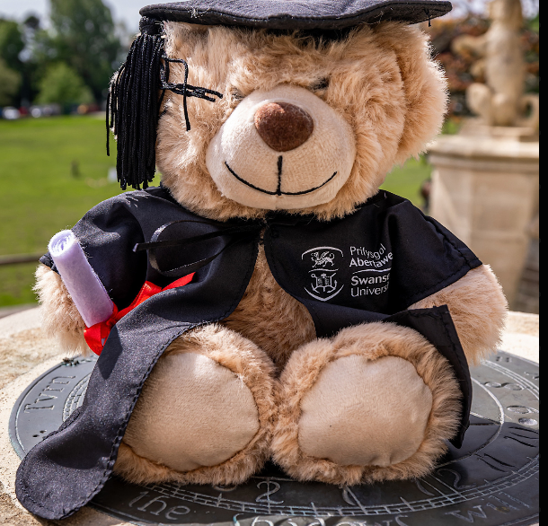 Graduation 2026 Hoodie - Tote - Bear