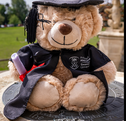 Graduation 2026 Hoodie - Tote - Bear