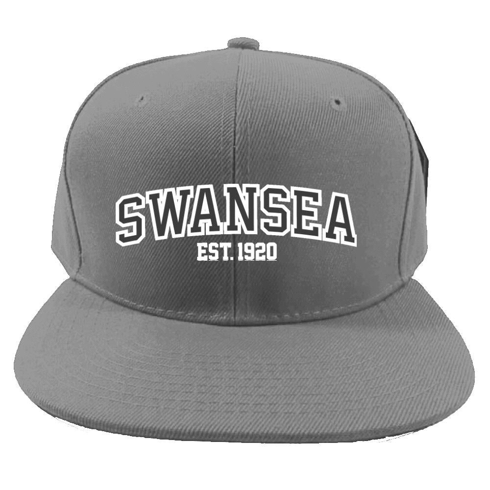 Swansea University Cap - Vintage Style