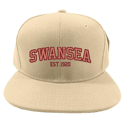 Swansea University Cap - Vintage Style