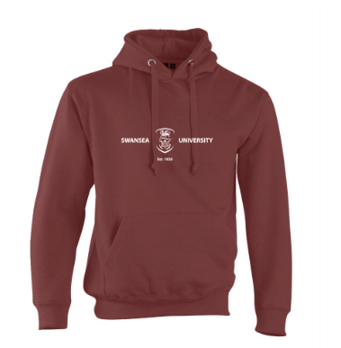Swansea University Hoodie- Embroidered Crest