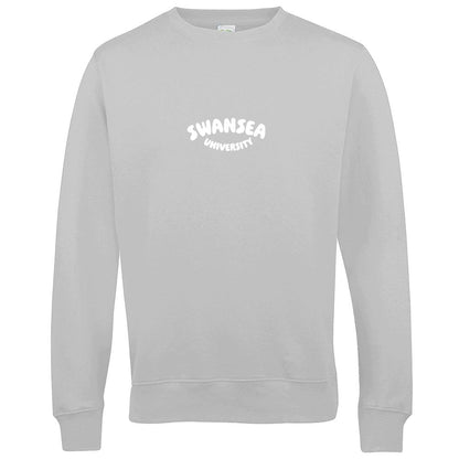 Swansea University Sweatshirt - Made with Recycled Materials 🌍💖