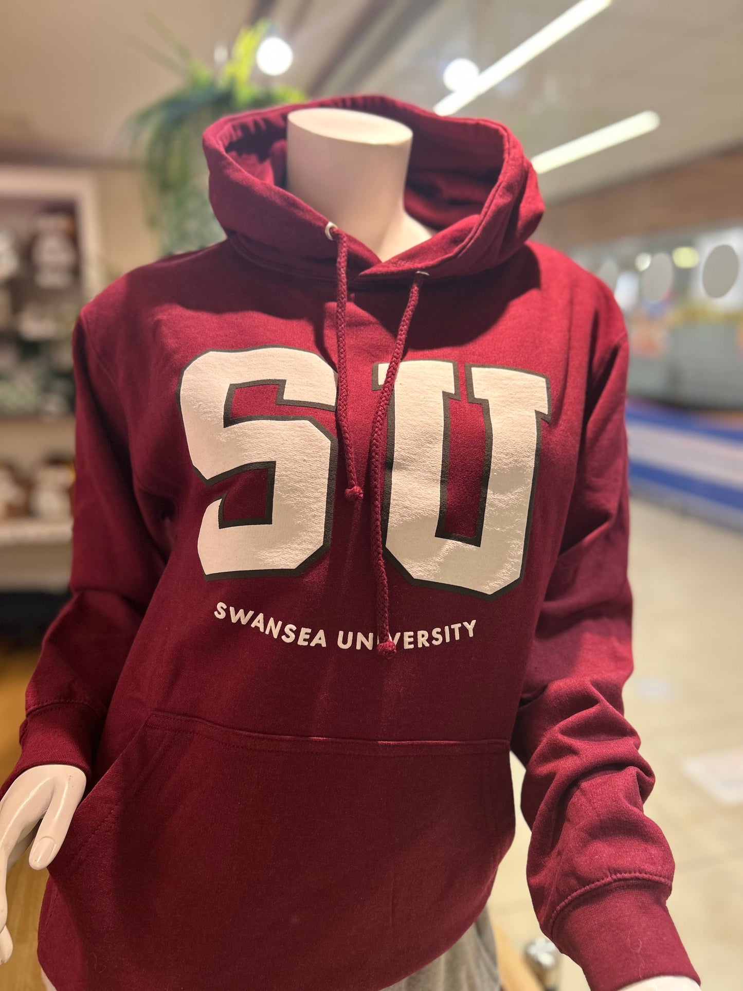 Swansea University logo College Hoodie