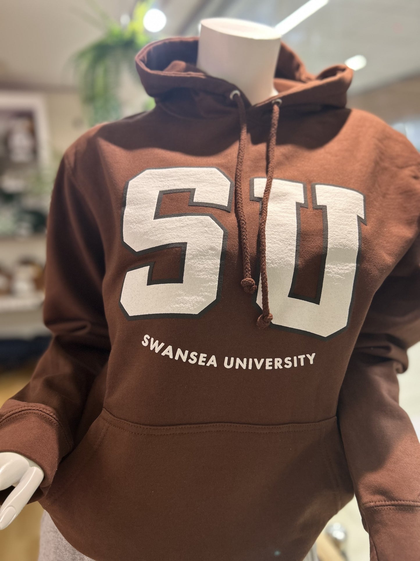 Swansea University logo College Hoodie