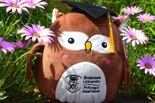 Swansea University Owl - Graduate