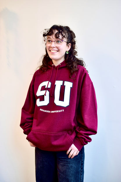 Swansea University logo College Hoodie