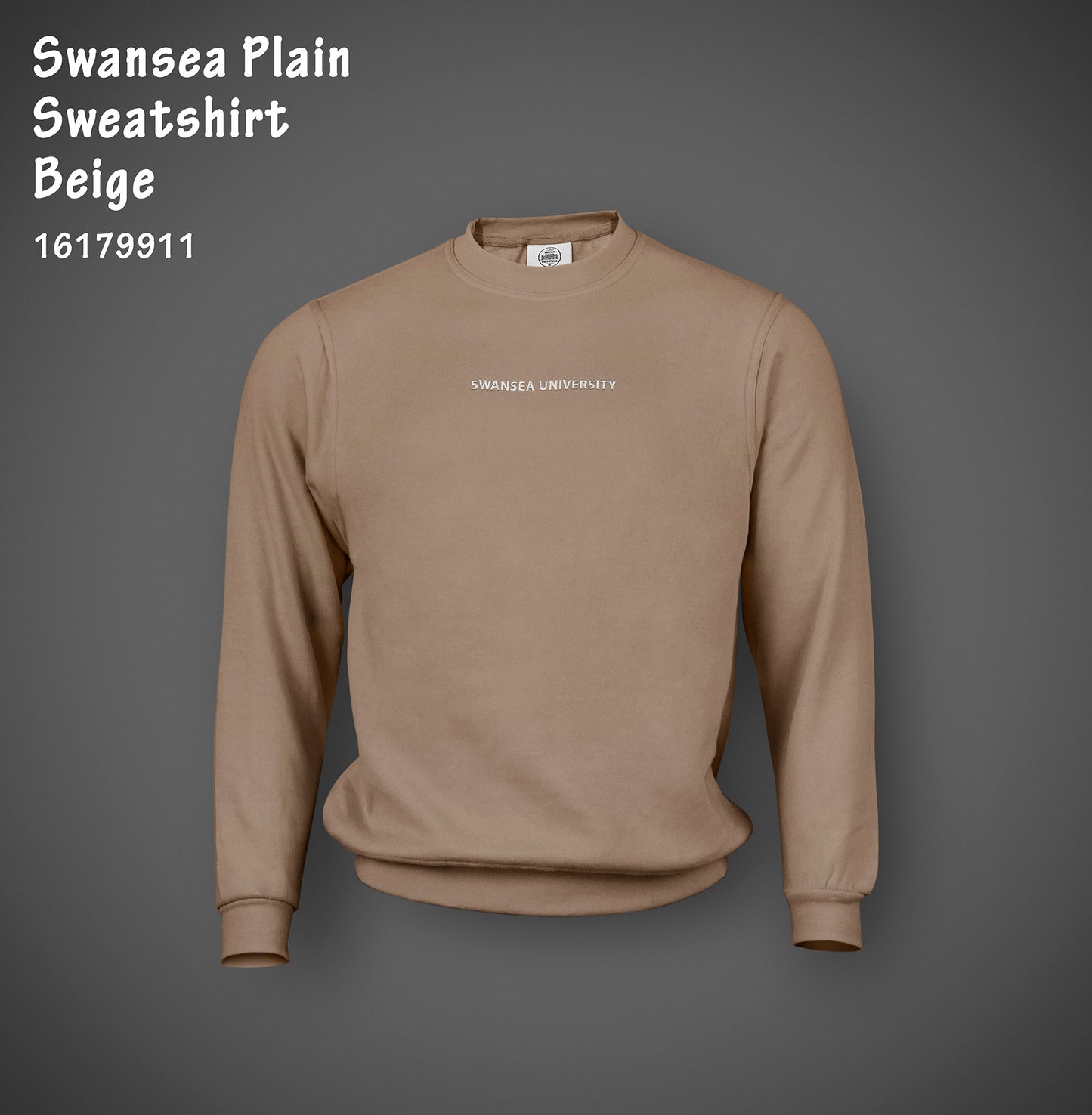 Swansea University Sweatshirt - Minimalist