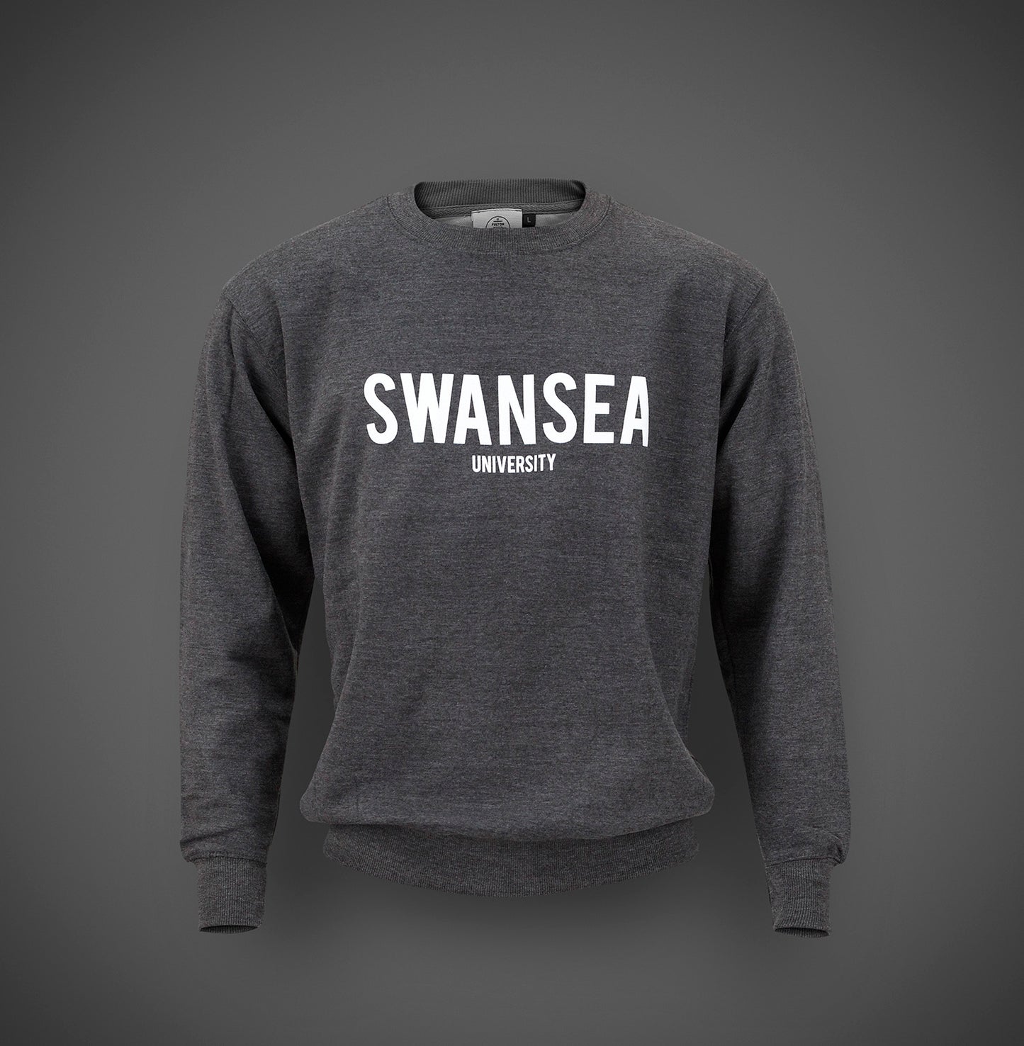 SALE -Swansea University Sweatshirt - Statement